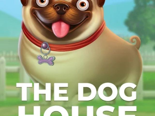 The Dog House — Pragmatic Play: играть в LuckyBear казино